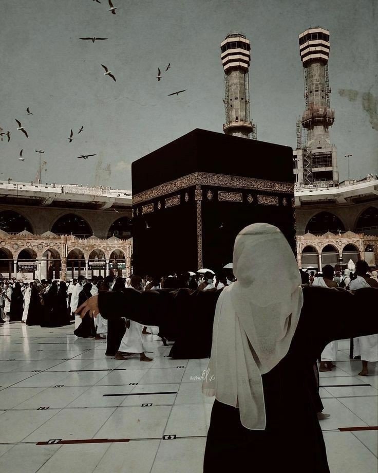 aesthetic-dp-butterfly