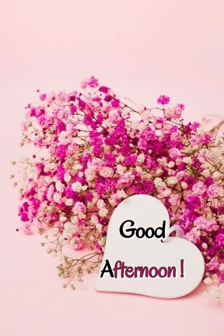 a-good-afternoon-picture