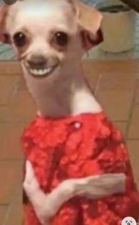 cute-wallpaper-goofy-ahh-pictures