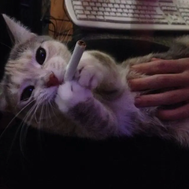 fortnite-goofy-ahh-memes