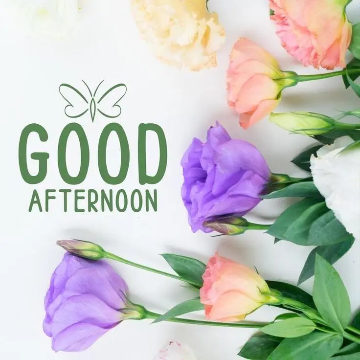free-good-afternoon-images