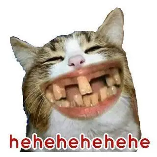 funny-pfp-anime-girl