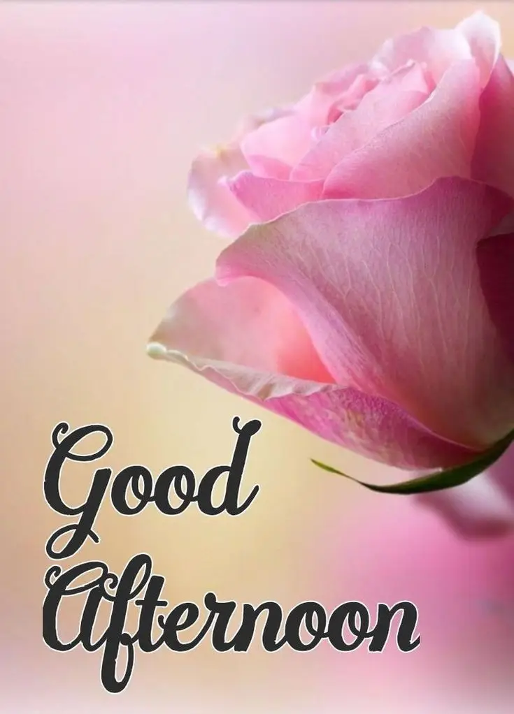 good-afternoon-pick-me-up