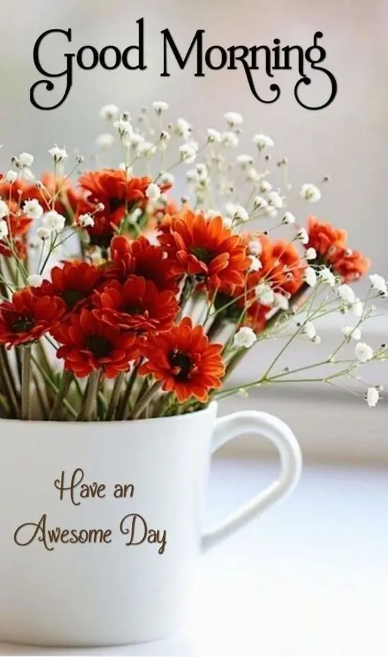 good-morning-images-cute-gif