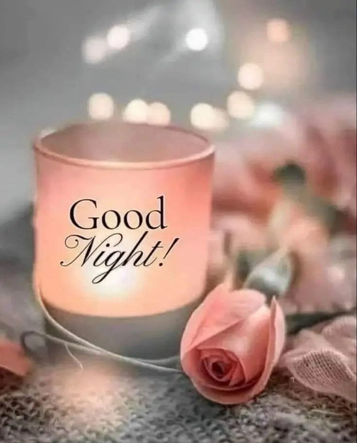 good-night-images-dogs