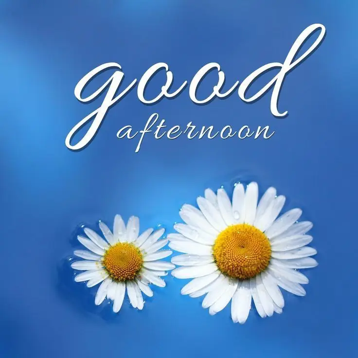 good-night-pic-bengali-love