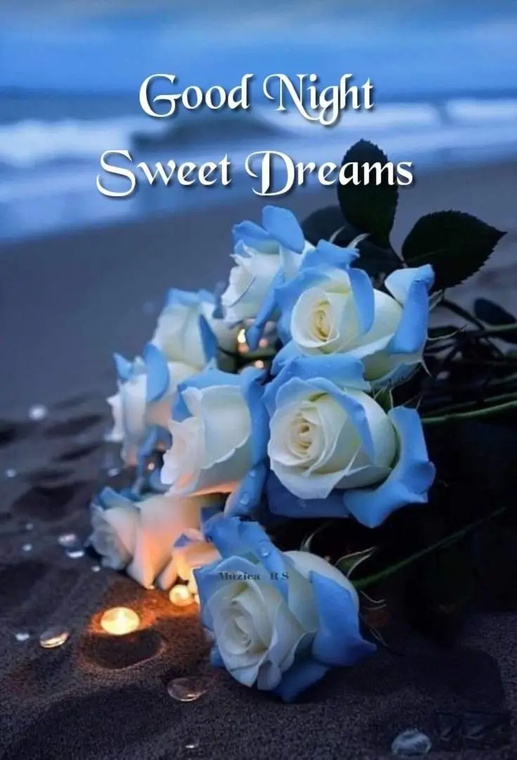 good-night-pictures-funny