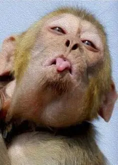 goofy-ahh-aesthetic-pfp