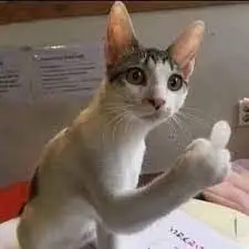 goofy-ahh-alien-pictures