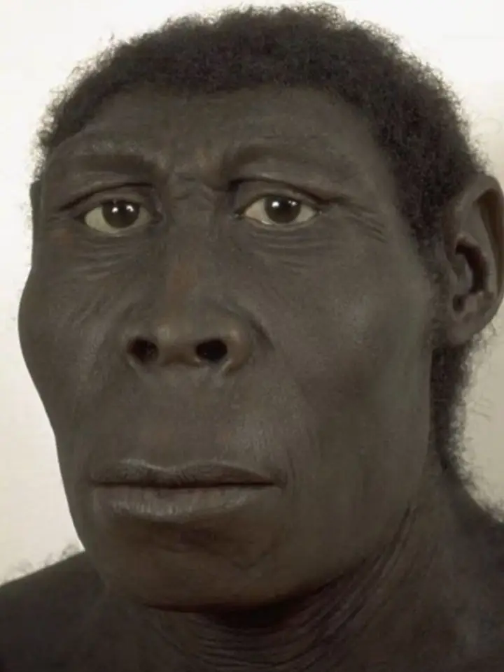 goofy-ahh-autistic-pictures