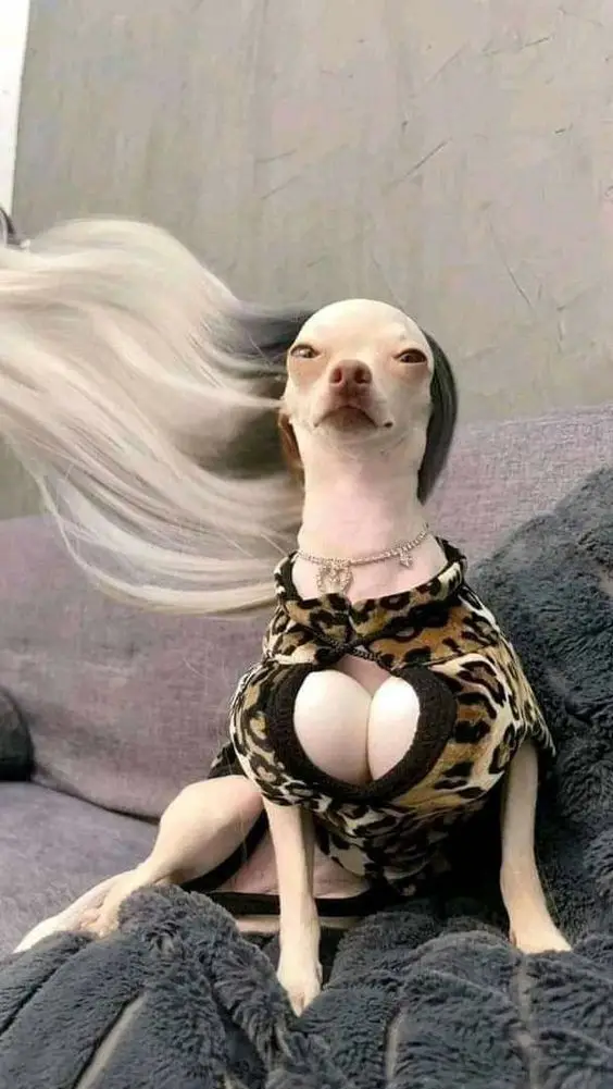 goofy-ahh-christmas-pfp