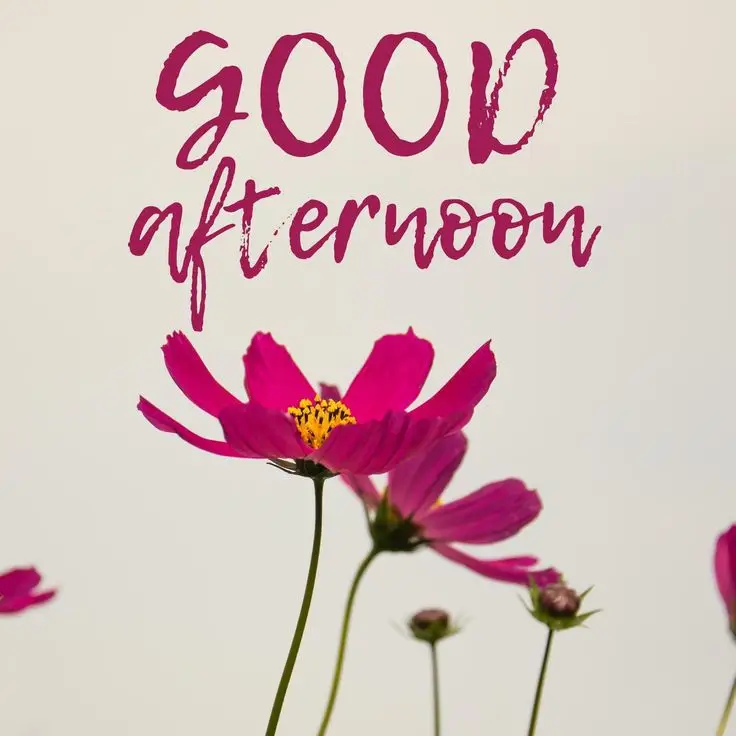 happy-sunday-good-afternoon-pic