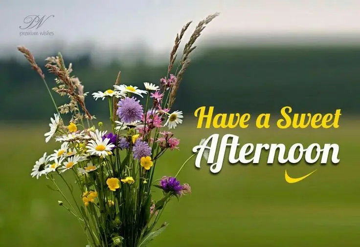 sharechat-good-afternoon-photo