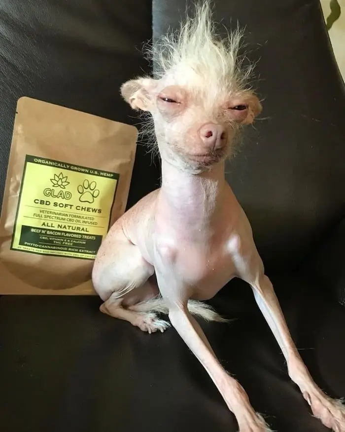 shrek-goofy-ahh-memes